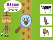 Igra Svijet Aliceinog tragova online