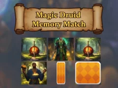 Igra Magic druid: memorija podudaranje online