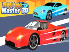 Igra Divlja utrka: Master 3D online
