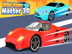 Igra Divlja utrka: Master 3D online