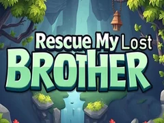 Igra Spasi mog izgubljenog brata online