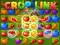 Igra Crop Link online