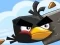 Igra Ludi Ptice online Igra Ludi Ptice online