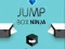 Igra Ninja Skačeg Kutije online