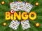 Igra Bingo online