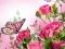 Igra Puzzle s Leptirima online