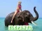 Igra Puzzle s Slonovima online