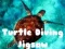 Igra Slagalica Turtl Diving online