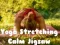 Igra Yoga Istezanje Mirni Puzzle online