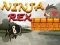 Igra Ninja Rex online