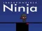 Igra Iracionalni Ninja online