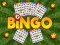 Igra Bingo Otkiven online