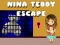 Igra Nina Teddy Bijeg online