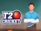 Igra T20 Kriket online