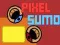 Igra Piksel Sumo online Igra Piksel Sumo online