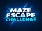 Igra Maze Escape Challenge online