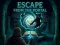 Igra Escape from the Portal online