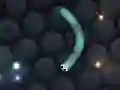 Igra Slither.io online