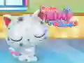 Igra Njega Slatkih Mačića online