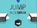 Igra Ninja Skačeg Kutije online