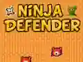 Igra Ninja Branitelj online Igra Ninja Branitelj online