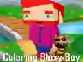Igra Bojanje Bloxy Dječaka online Igra Bojanje Bloxy Dječaka online
