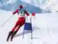 Igra Simulator skijanja slalom online