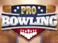 Igra Profesionalno Boulnganje online