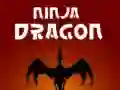 Igra Nindža Zmaj online Igra Nindža Zmaj online