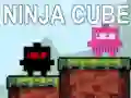 Igra Ninja Kocka online