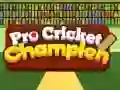 Igra Pro Kriket Prvenstvo online Igra Pro Kriket Prvenstvo online
