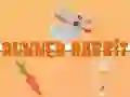 Igra Trkač Zec online Igra Trkač Zec online