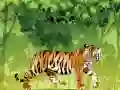 Igra Sredite Tigar Bojanje online