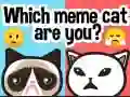 Igra Koji ste meme mačka? online