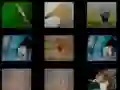 Igra Životinjska Memorama online Igra Životinjska Memorama online