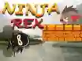 Igra Ninja Rex online Igra Ninja Rex online