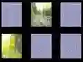 Igra Sjećanje na Prirodu online Igra Sjećanje na Prirodu online