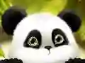 Igra Panda Klizanje online Igra Panda Klizanje online