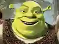 Igra Shrek: Kolekcija Puzzlova online