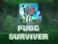 Igra PUBG Preživjeli online Igra PUBG Preživjeli online