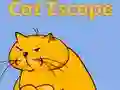 Igra Bijeg mačke online