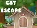 Igra Bijeg Mačke online