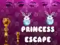 Igra Bijeg princeze online Igra Bijeg princeze online