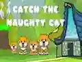 Igra Uhvatite nestašnu mačku online