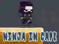 Igra Nindža u Cape online