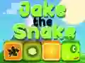 Igra Jake Zmija online