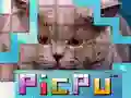 Igra PicPu Mačka online