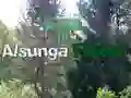 Igra Povratak u šumu Alsunga online Igra Povratak u šumu Alsunga online