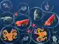 Igra Spajanje Okeanskih Riba online