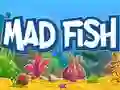 Igra Luda Riba online